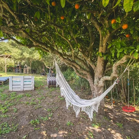 Ruralcamomo Holiday home Barbate
