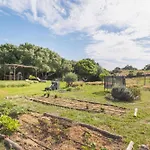 Ruralcamomo Barbate